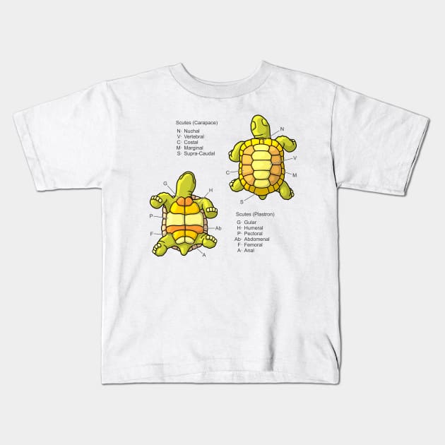 Scutes of the Tortoise Shell Diagram Kids T-Shirt by taylorcustom